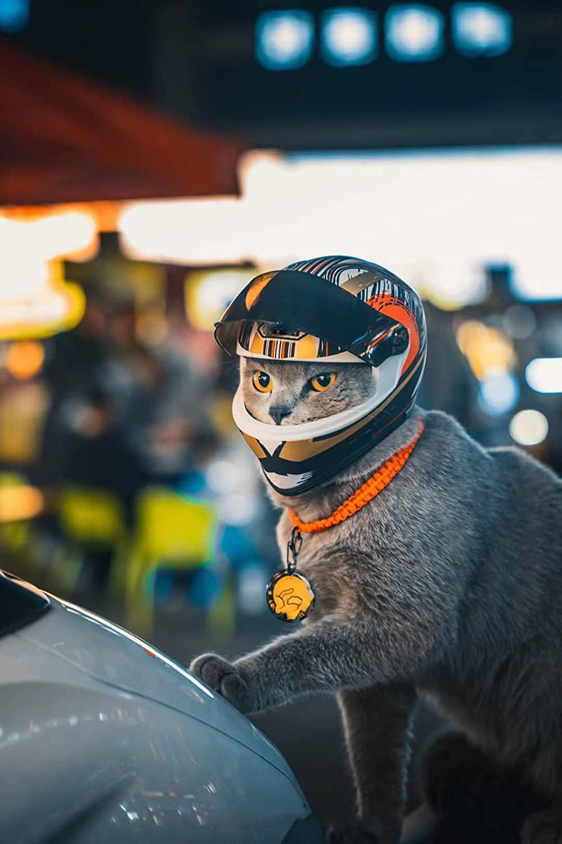 Capacete para pets